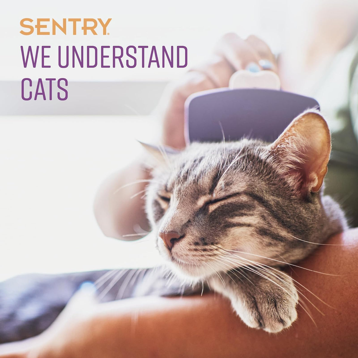 Sentry Industries Collar calmante para gatos, 3 unidades, morado