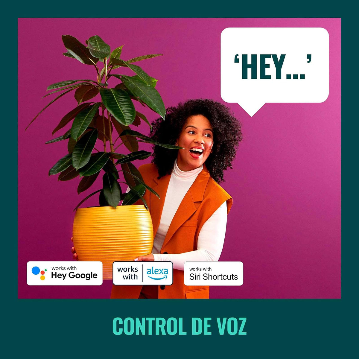 WiZ Foco Inteligente A19 8.8W luz cálida a fría dimeable controlable por WiFi (Paquete de 3)