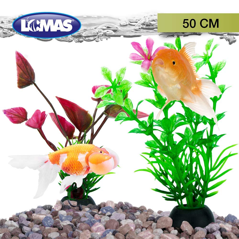 Lomas Planta para Acuario 50 cm 6 Piezas Decoración Artificial para Peces Agua Dulce y Salada Diseño Natural