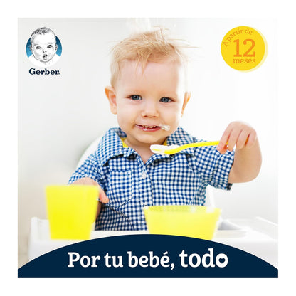 Gerber Papilla Zanahoria, Res y Pasta, Etapa 4, Pack de 12 Frascos de 250g c/u