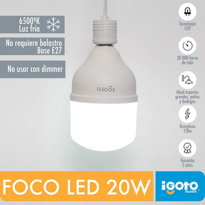iGoto F10P-10109 Pack de 10 Focos Led A60, 9W Luz Fría + F10520 Foco led T80, 20W, Luz Fría