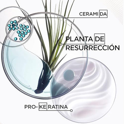 KÉRASTASE Bain Force Architecte | Shampoo reconstructor y fortalecedor | Previene el quiebre del cabello y las puntas abiertas | Con Pro-Keratina y Ceramidas | 250ml