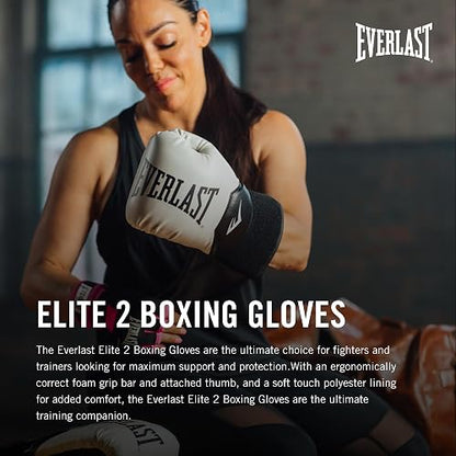 Everlast Boxing Gloves