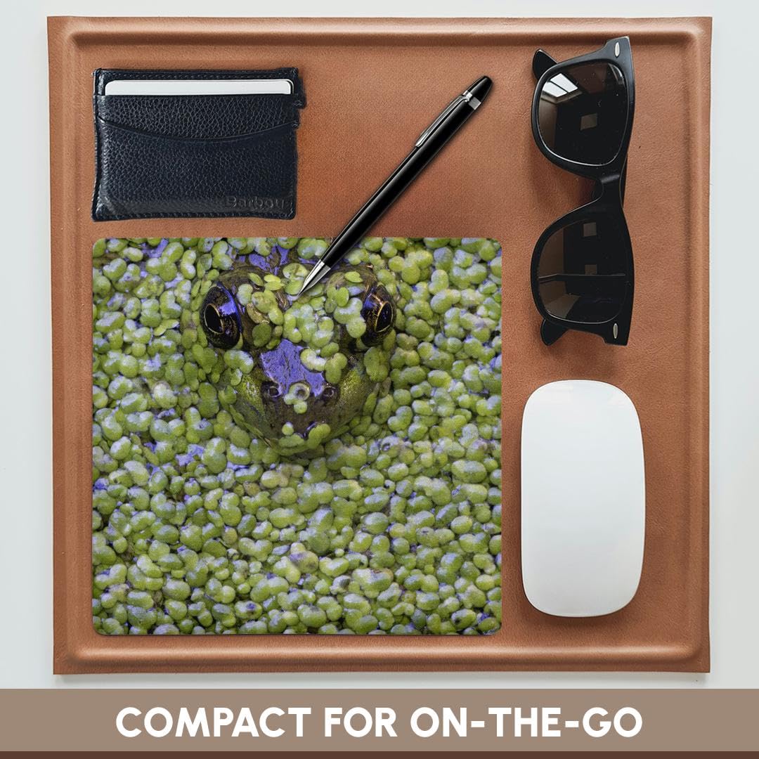 3dRose Canada Quebec Green Frog Pokes Head Out of Duckweed, Janyes Gallery Mouse Pad (mp_72318_1)