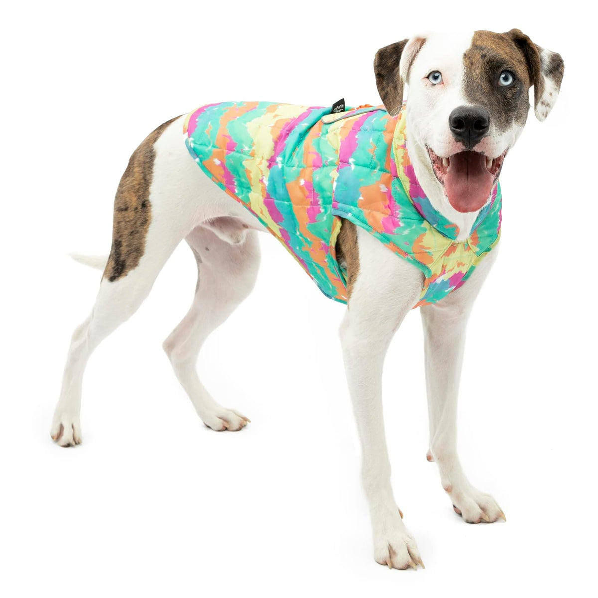 Kurgo Loft Chamarra Reversible e Impermeable para Perro - Pequeño - Acuarela