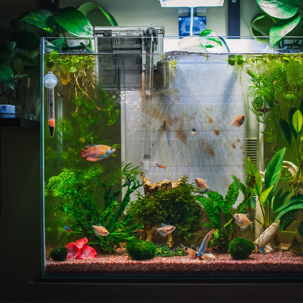 Fancy Pets Lomas Aquajet Slim Pro Filtro Externo para 60 litros para Acuarios y Peceras