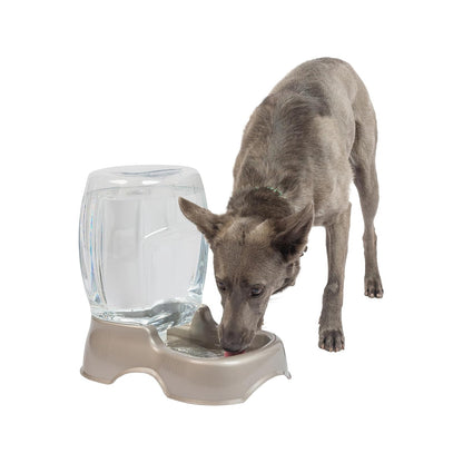 Petmate Pet Cafe Pet Waterer, 1/4 Gal, Pearl Lady Pink, Pearl Tan, 82.5 cm (alto) x 1.6 m (ancho)