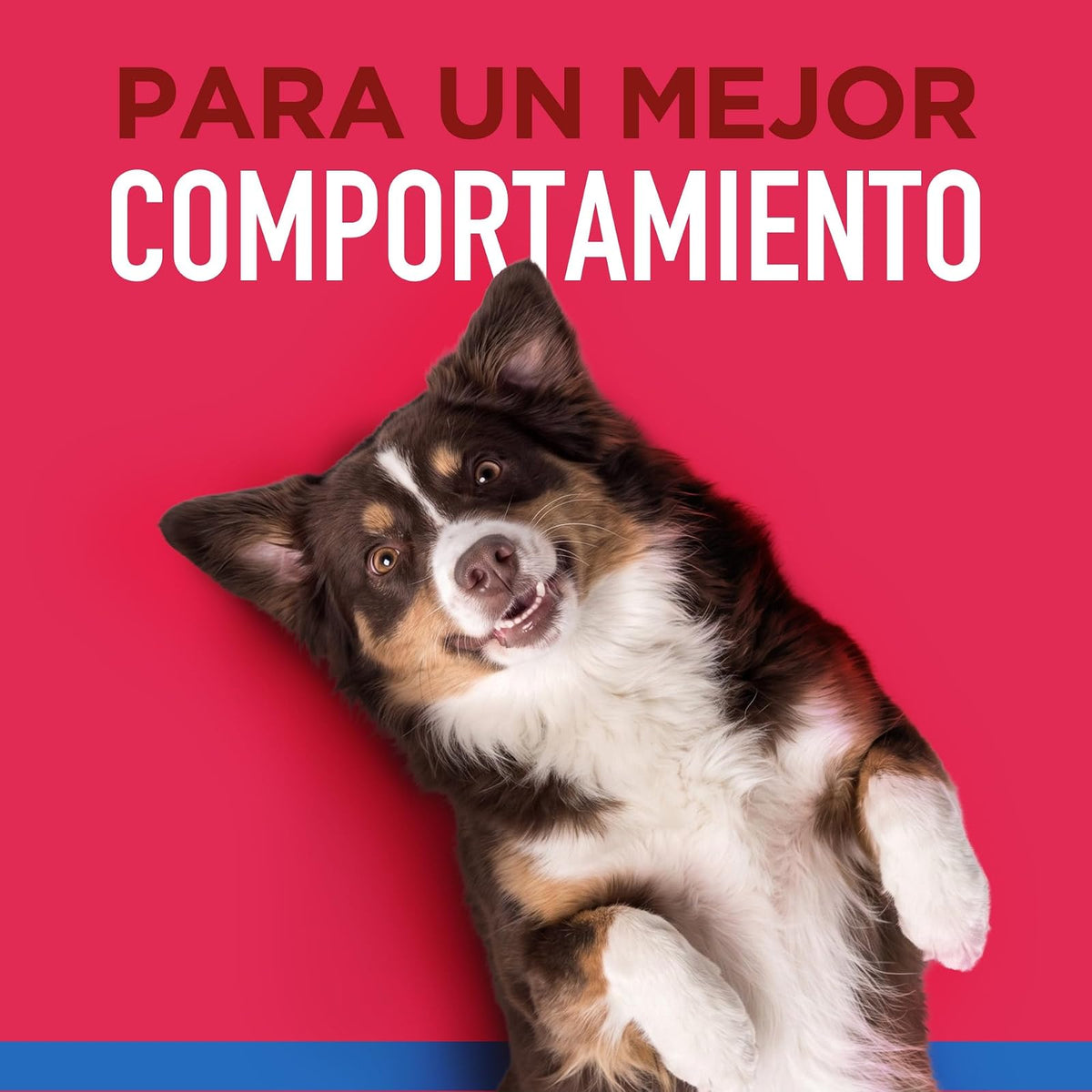 Pearl's Pure Nutrition CAMPI, Premios para Perro, Hígado de Res Liofilizado, 100% Natural, Contienen 63% de Proteína, 100 g