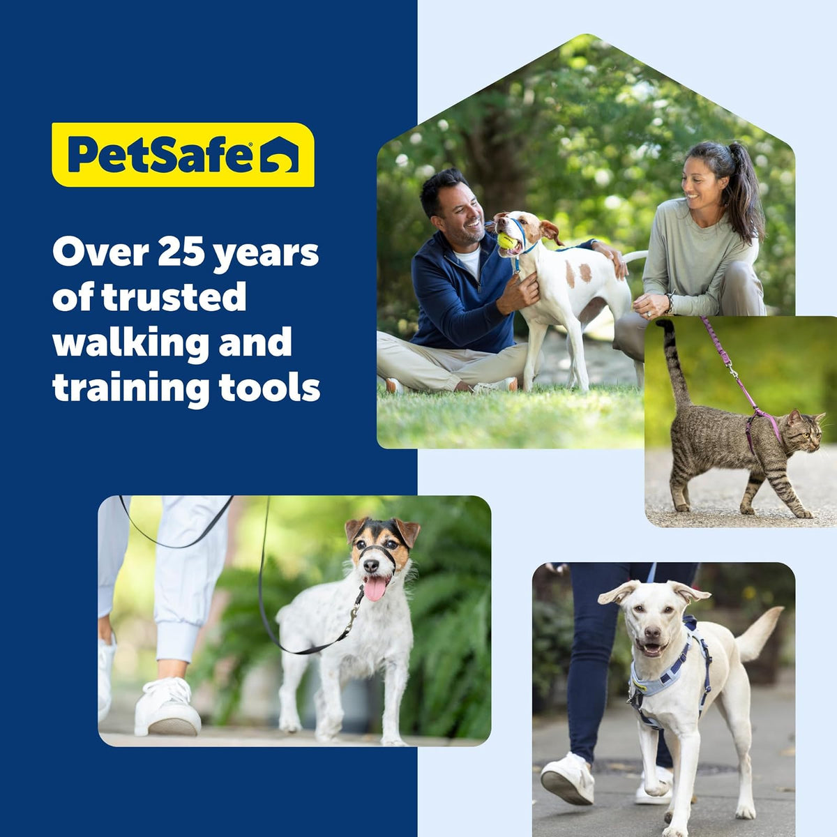 PetSafe Collar Martingale Hebilla de Cierre rpido, Grande, 2.54 cm, | Ajustable, Cómodo, Abertura para la correa