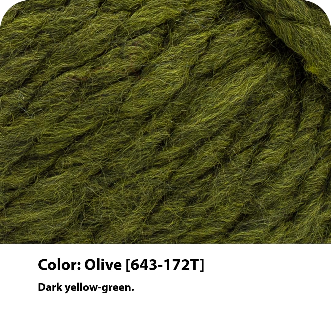 Lion Brand Yarn Wool-Ease T&Q - Hilo voluminoso para ganchillo, oliva, 1 paquete