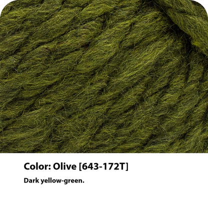 Lion Brand Yarn Wool-Ease T&Q - Hilo voluminoso para ganchillo, oliva, 1 paquete