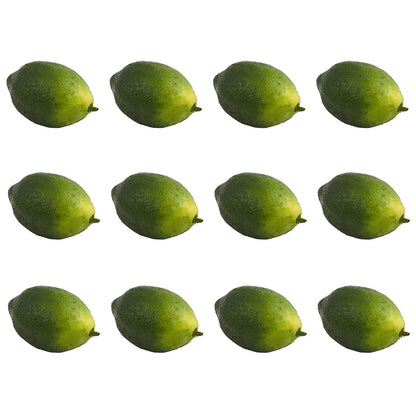 Nearly Natural 2192-S12 Set de 12 limas artificiales