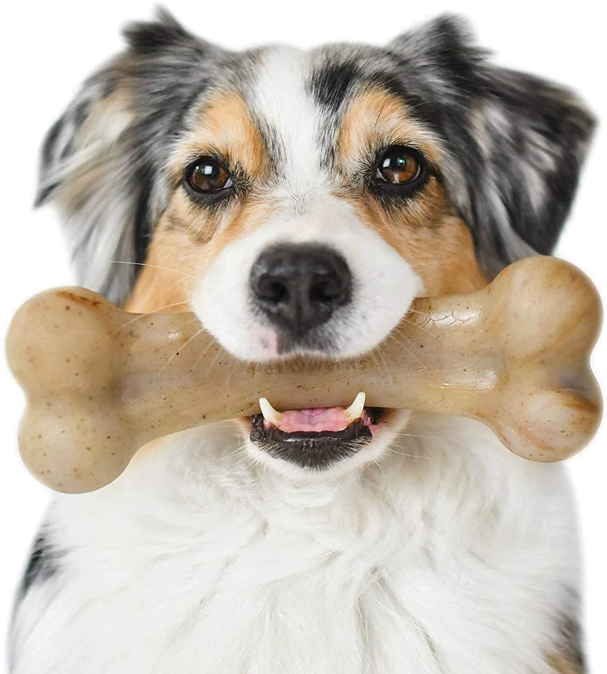 Pet Qwerks BBQ BarkBone Dog Chew Toys for Aggressive Chewers, Made in USA