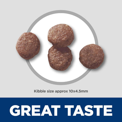 Hill's Science Diet Croquetas para Cachorro Sabor Cordero 1.8Kg | Croquetas Hill's para perro, cordero real, crecimiento sano, desarrollo cerebral con DHA, soporte inmunológico