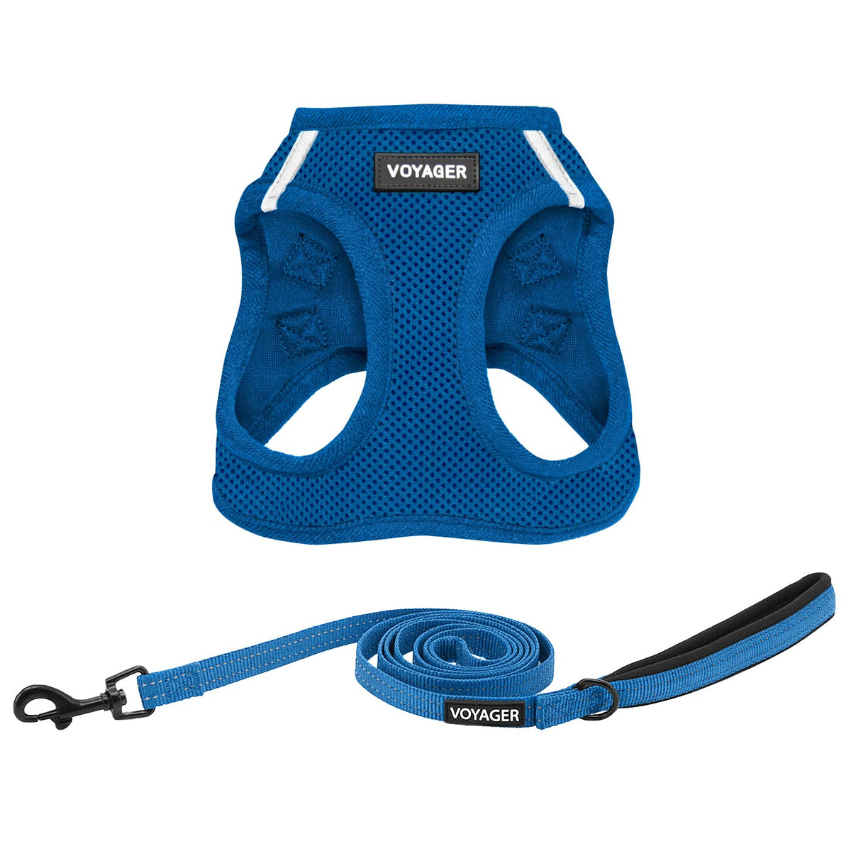 Best Pet Supplies - Arnés de malla para todo tipo de clima y correa reflectante para perro de 5 pies con mango de neopreno, para cachorros de raza pequeña, mediana y grande, arnés de correa (azul real), XXS