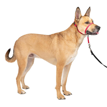 PetSafe Gentle Leader Collar para Perro sin Tirones - Medium - Rojo
