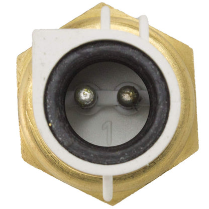 Walker Products Sensor de Temperatura de Carga de Aire 210-1002