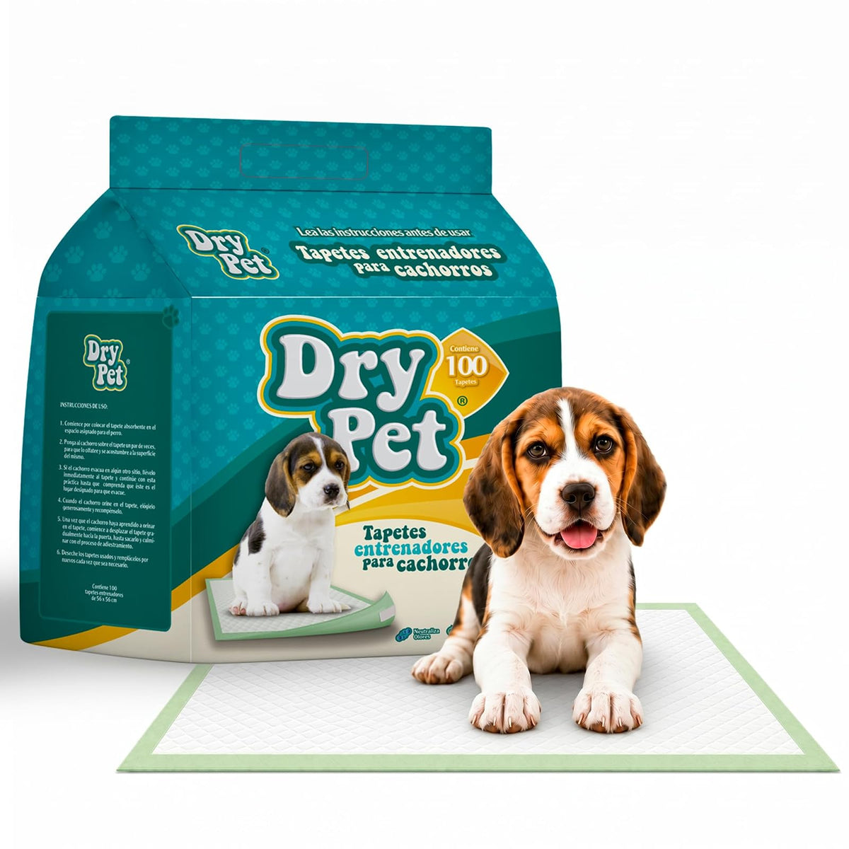 Dry Pet Tapete Entrenador para Perro, Paquete de 30 a 100 Piezas - 100 PIEZAS