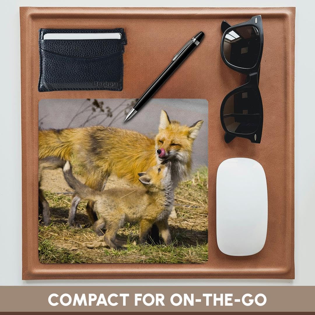 3dRose 8 x 8 x 0.25 Inches Colorado Breckenridge Red Foxes Jaynes Gallery Mouse Pad (mp_88817_1)