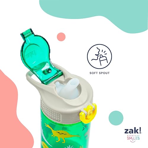Zak Designs Sonic the Hedgehog - Botella de agua de salvia para la escuela o los viajes, botella de agua de plástico duradera de 16 onzas con popote, mango y a prueba de fugas, cubierta de boquilla