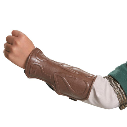 Disguise Link Prestige Legend of Zelda Nintendo Costume, Multicolor, Grande/10-12