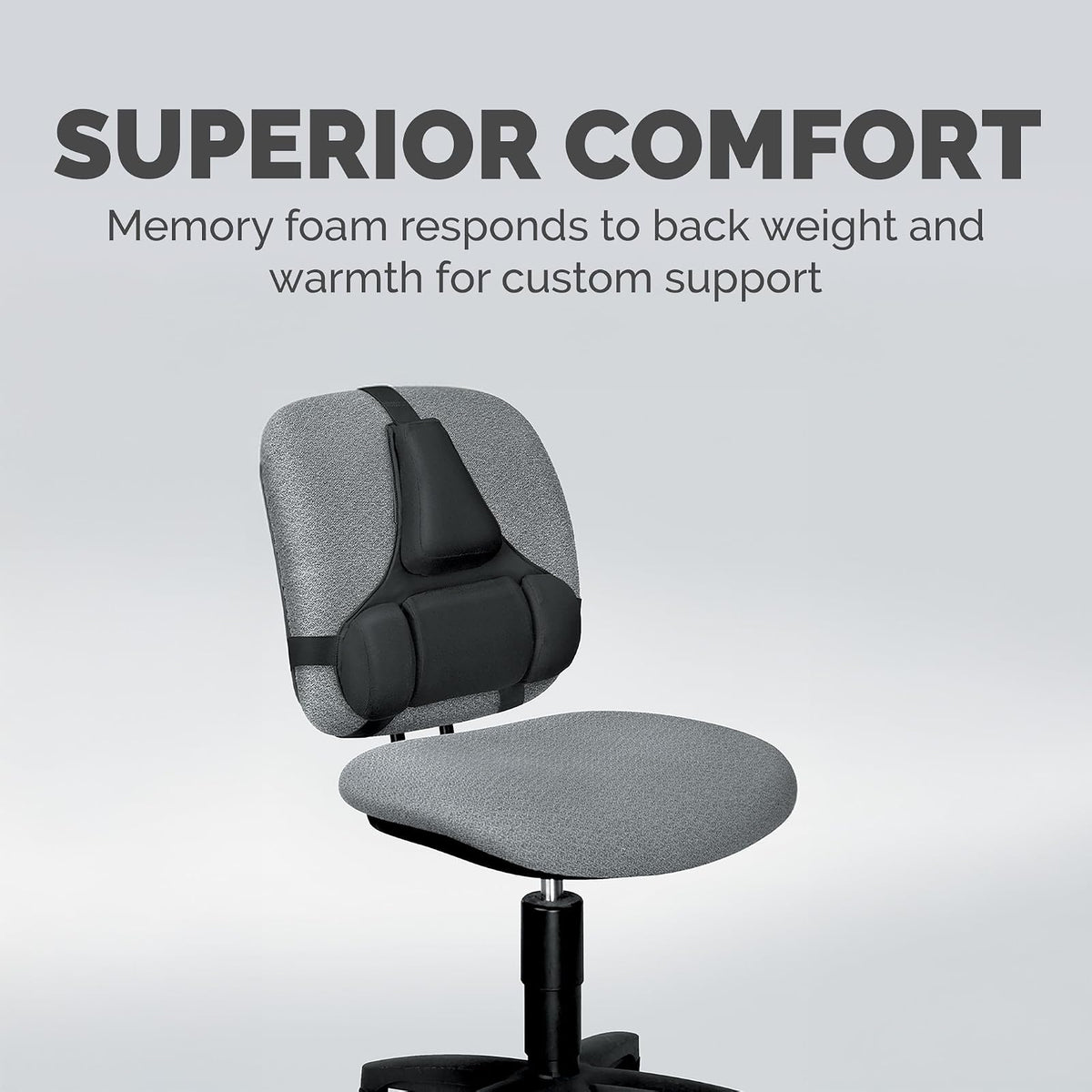 Fellowes 8037601 Serie profesional, Soporte para espalda con protección Microbian, Negro