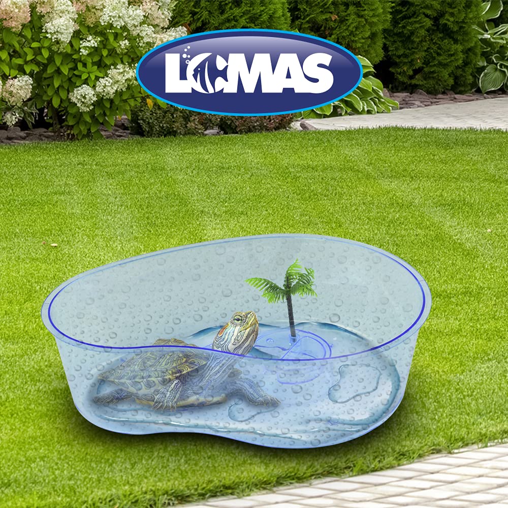 Lomas Tortuguero en Forma de Riñón 12 in (30 cm) para Tortugas Pequeñas con Rampa y Zona Seca Decorativa Colores Surtidos