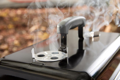 Weber Go-Anywhere asador portatil de carbón