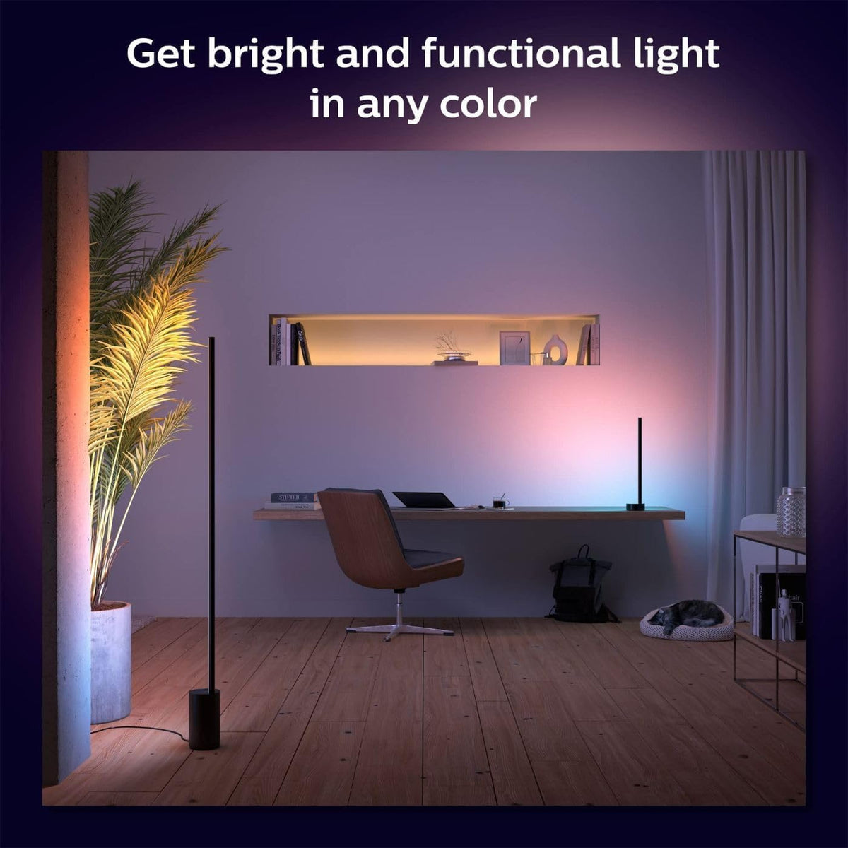 Philips Hue Luminario Inteligente de mesa Signe color negro luz multicolor Gradiant funciona-Compatible con Alexa