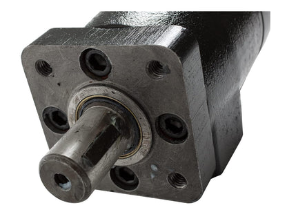Buyers Products Motor Hidráulico de Montaje de 4 Pernos, Eje Redondo 1 in, Puerto NPT 1/2 in CM034P