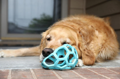 JW Pet HOL-EE Roller™, Bola de Rompecabezas de Juguete para Perro, Hule Natural, Grande (5.5 Pulgadas de diámetro), Azul