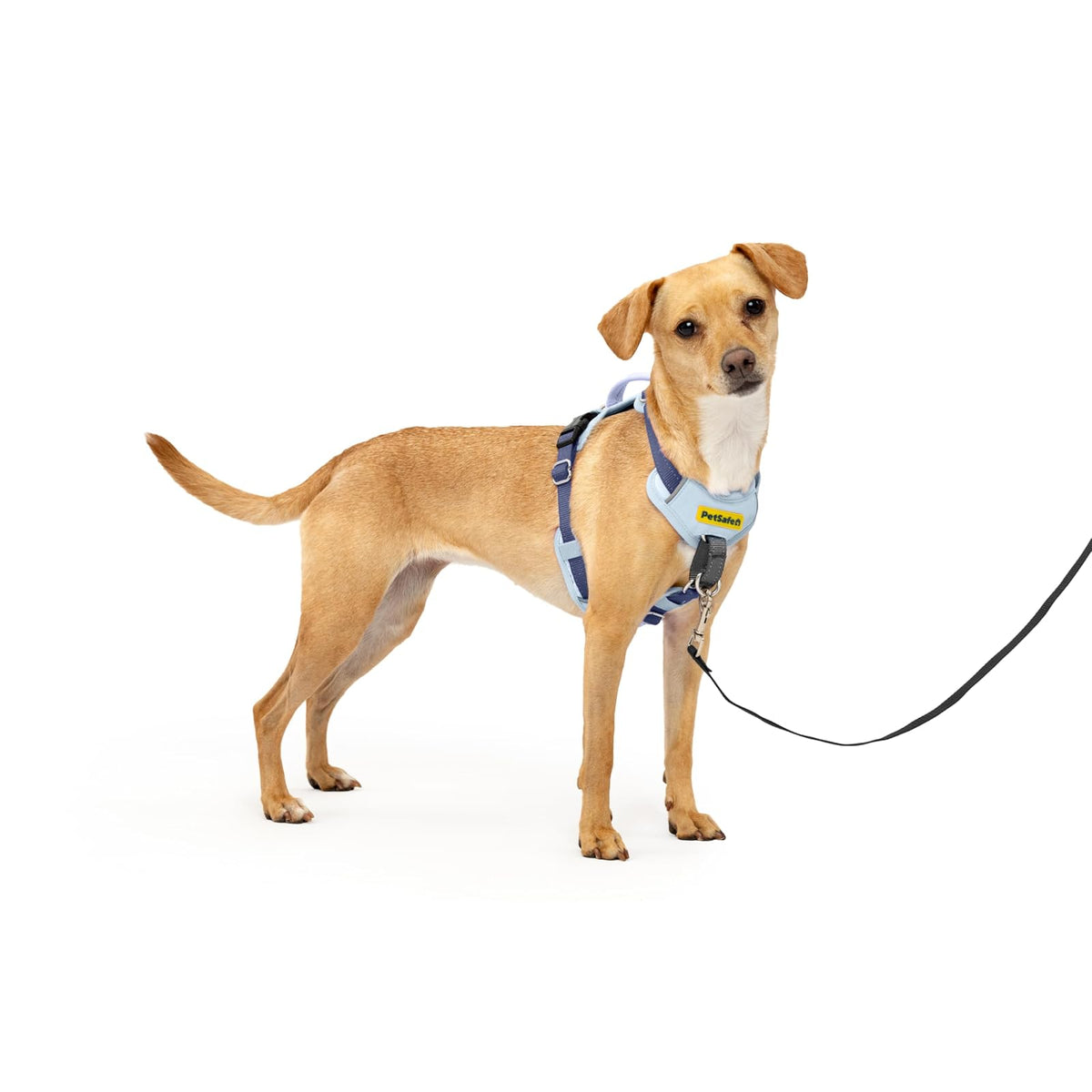 PetSafe Easy Walk Arnés sin Tirones para Perro - Azul - XS