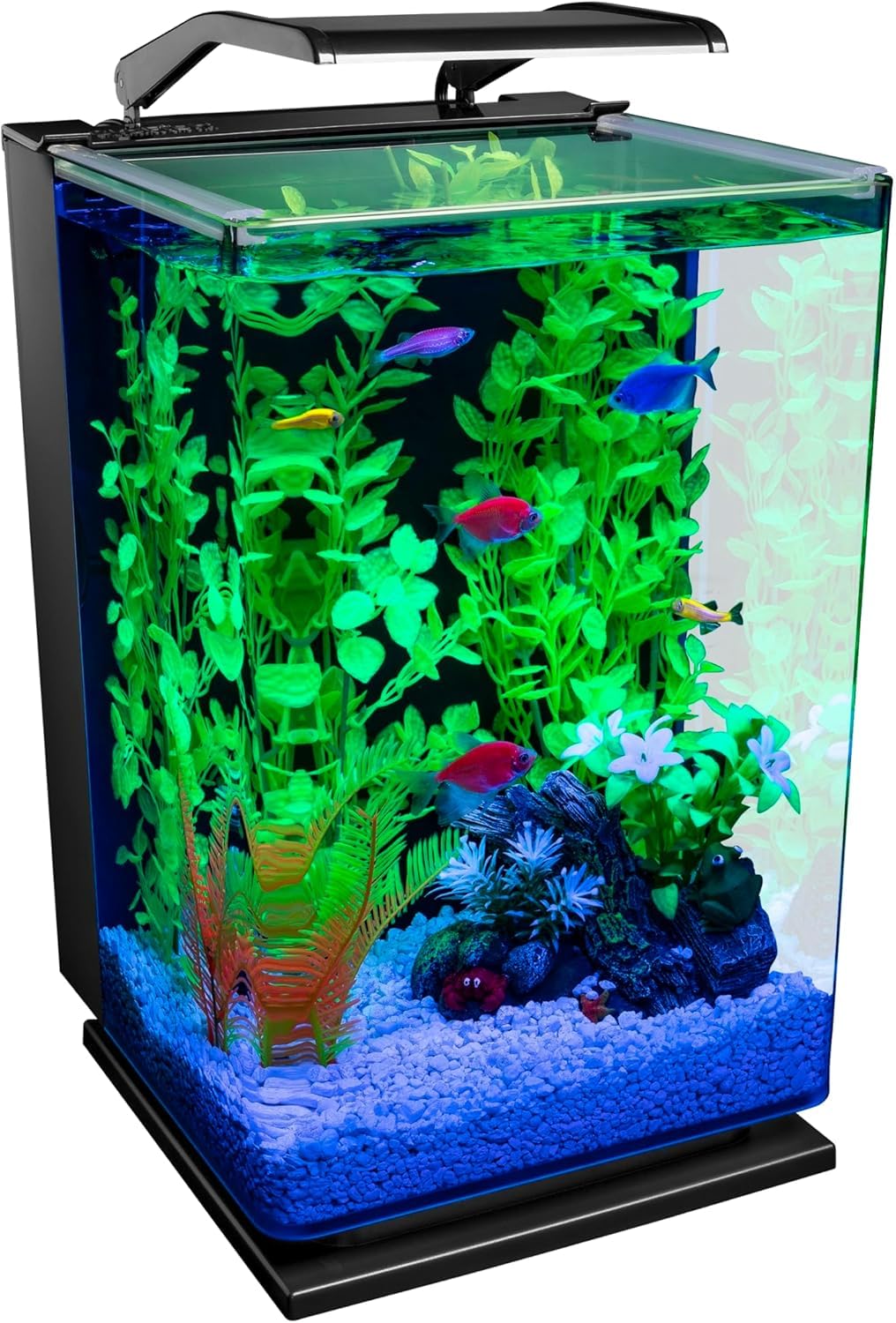 GloFish Aquarium Kit 5 gallon, Includes Hinged Cycle Light & Hidden filtration