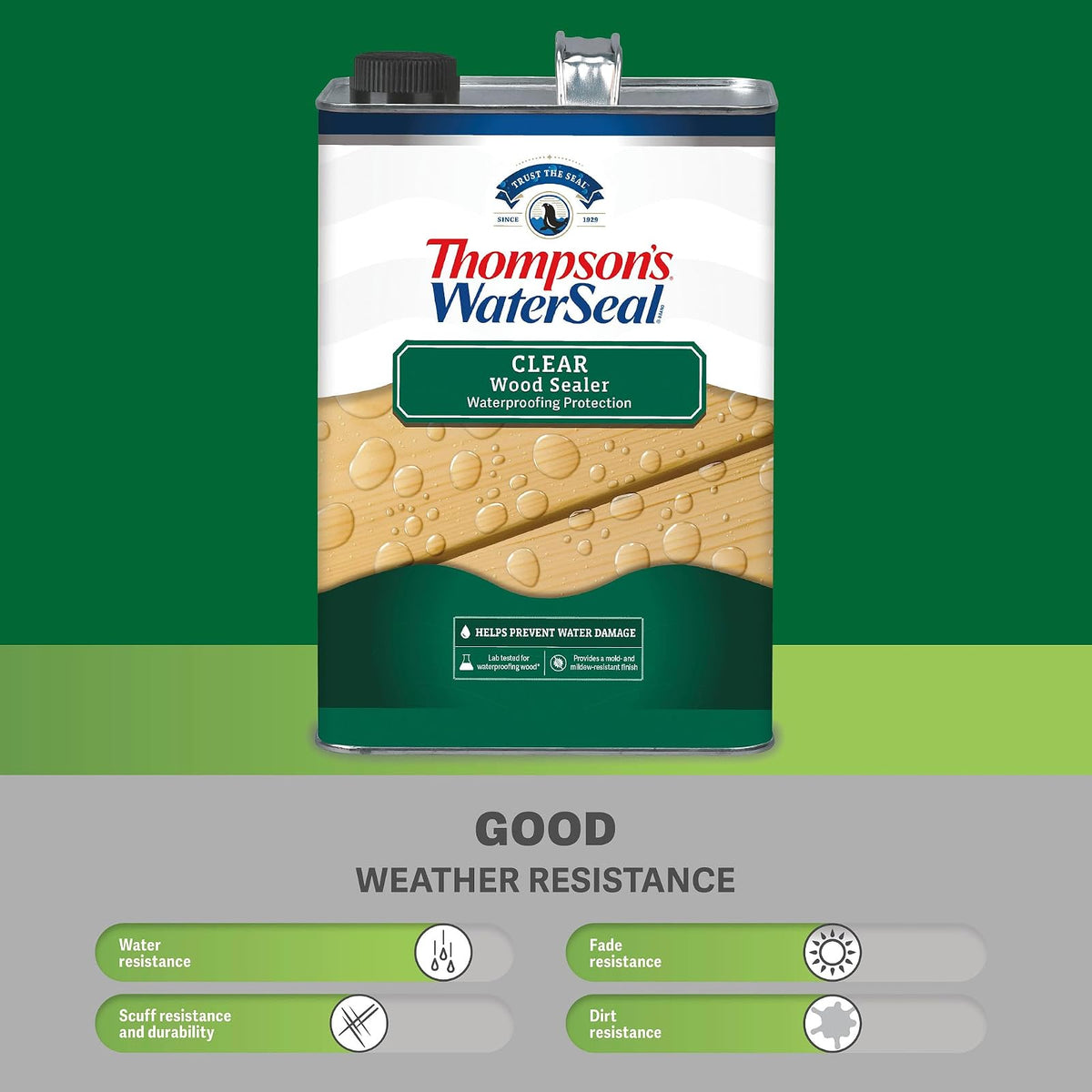 Thompson's WaterSeal Protector para madera Transparente, 3.78l