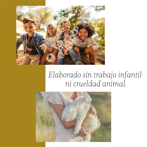 Punto Aroma - Home Mist 250ml - Ambientador de Fragancia Premium - Air Freshener - Spray aromatizante con atomizador - Ideal para casa, automóvil, oficina, carro, baño (ANTI TABAC/BYE TOBACCO)