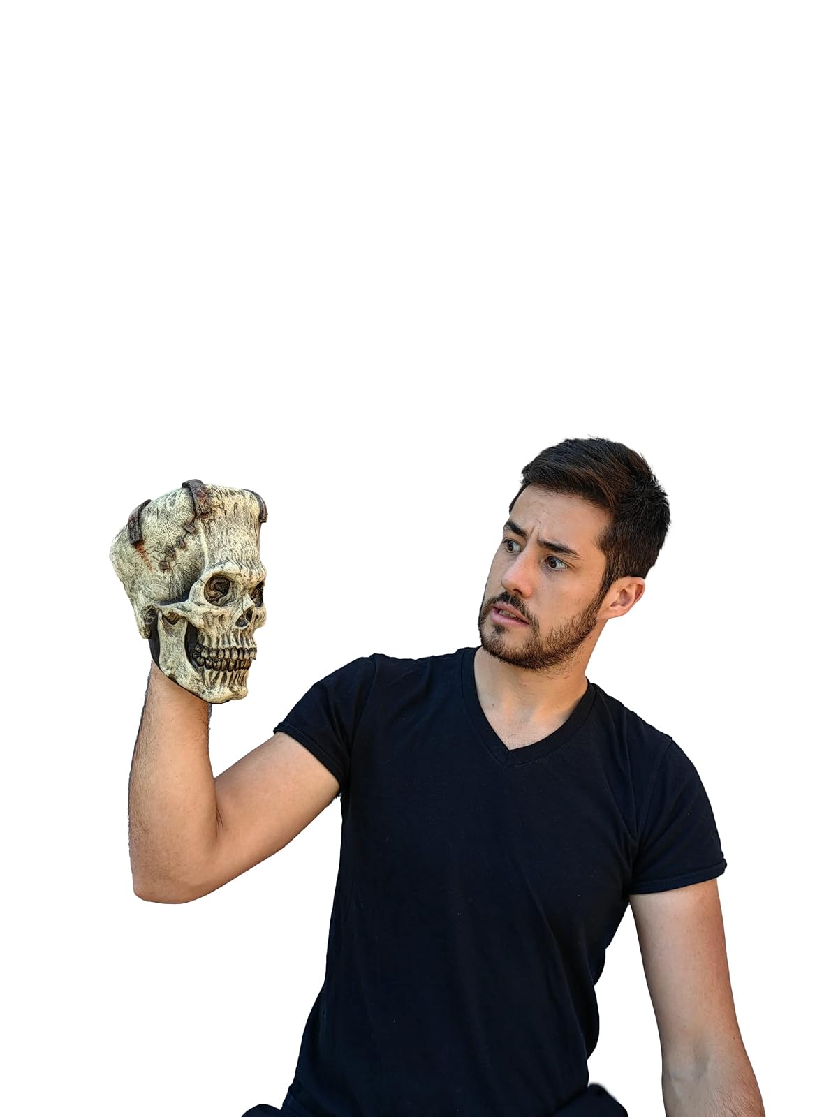 Ghoulish Productions Franky Skull, Artículo Decorativo de Craneo de Esqueleto de Frankenstein, Adorno para Decoración de Halloween de Cabeza de Monstruo Ideal para Casa de Terror