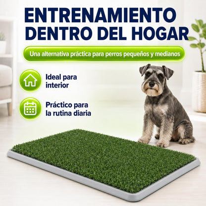 Fancy Pets Tapete de Entrenamiento para Perros Doggie Grass | Pasto Sintético con Bandeja y Rejilla | XCH 50x40 cm