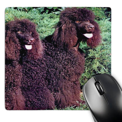 3dRose 8 x 8 x 0.25 Inches Irish Water Spaniel Mouse Pad (mp_991_1)