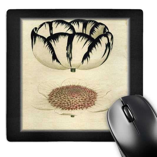 3dRose 8 x 8 x 0.25 Inches Mouse Pad, Black/White Botanical (mp_43686_1)