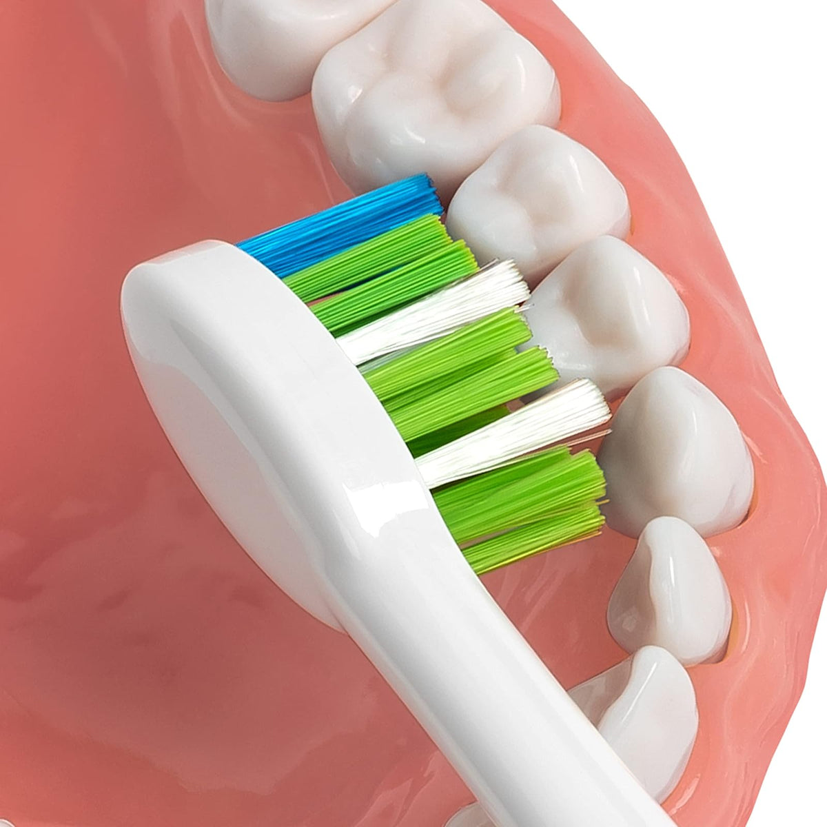Waterpik Sensonic STWB-3WW-B - Cabezales de cepillo para polvo de dientes, 3 cabezales de cepillo para polvo de dientes, color blanco