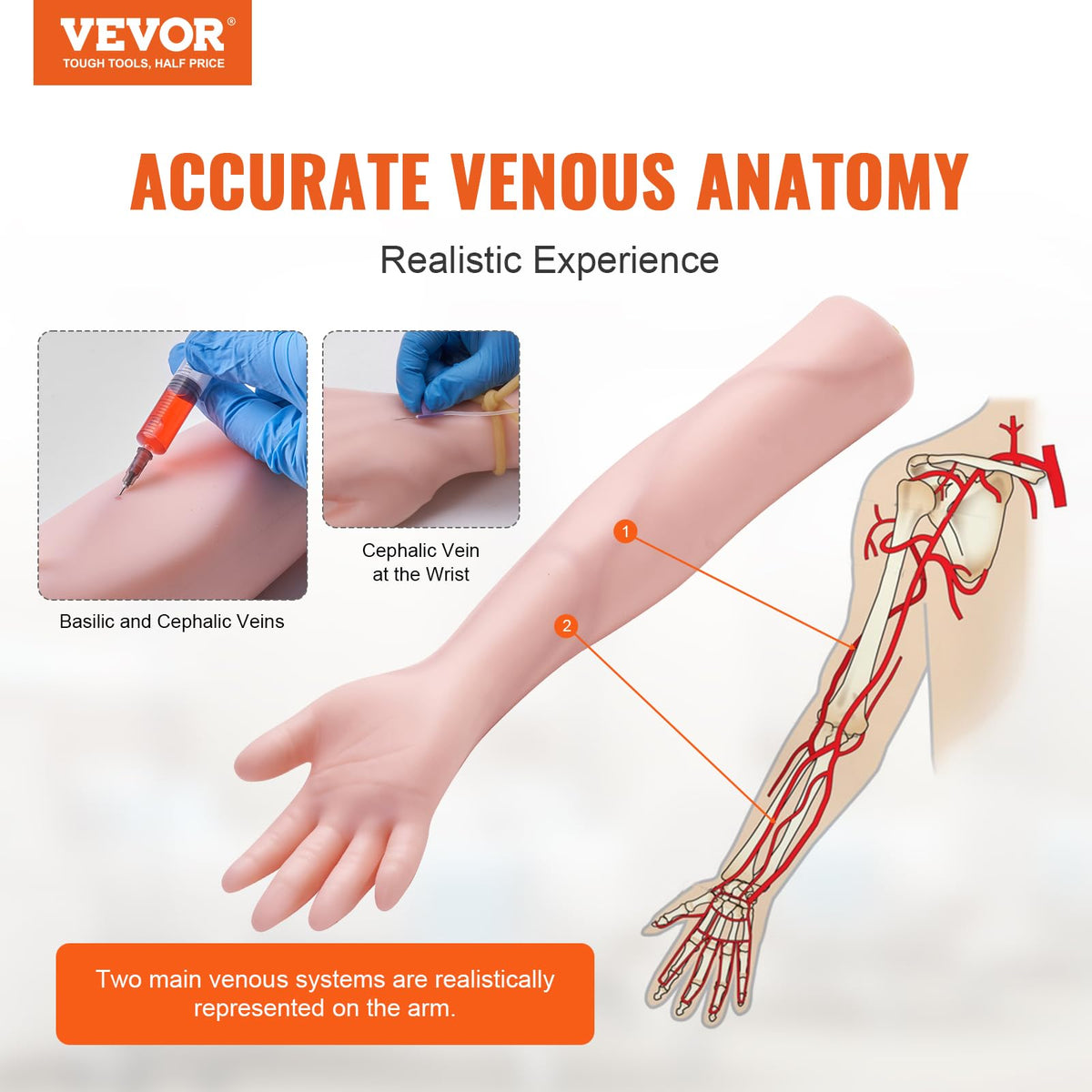 VEVOR Brazo de entrenamiento de infusión de PVC, brazo de entrenamiento de alta simulación con bolsa de transporte, kit completo de brazo de práctica de venopunción para estudiantes y enfermeras