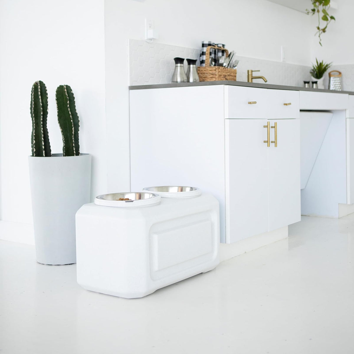 Gamma2 Vittles Vault - Alimentador Elevado para Perros con Almacenamiento, Fabricado en Estados Unidos, Plata, 50 Libras
