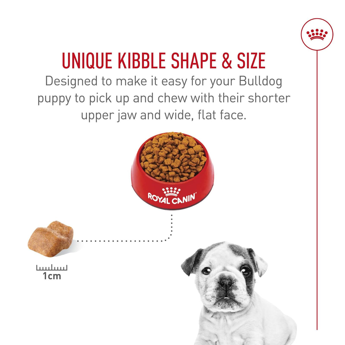 Royal Canin Croquetas para Bulldog, 2.72 kg (El empaque puede variar)
