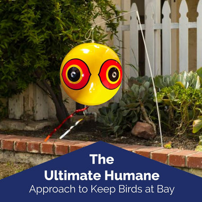 Bird-X Scare-Eye® Bird Repellent Predator Eyes Balloons, Pack of 3