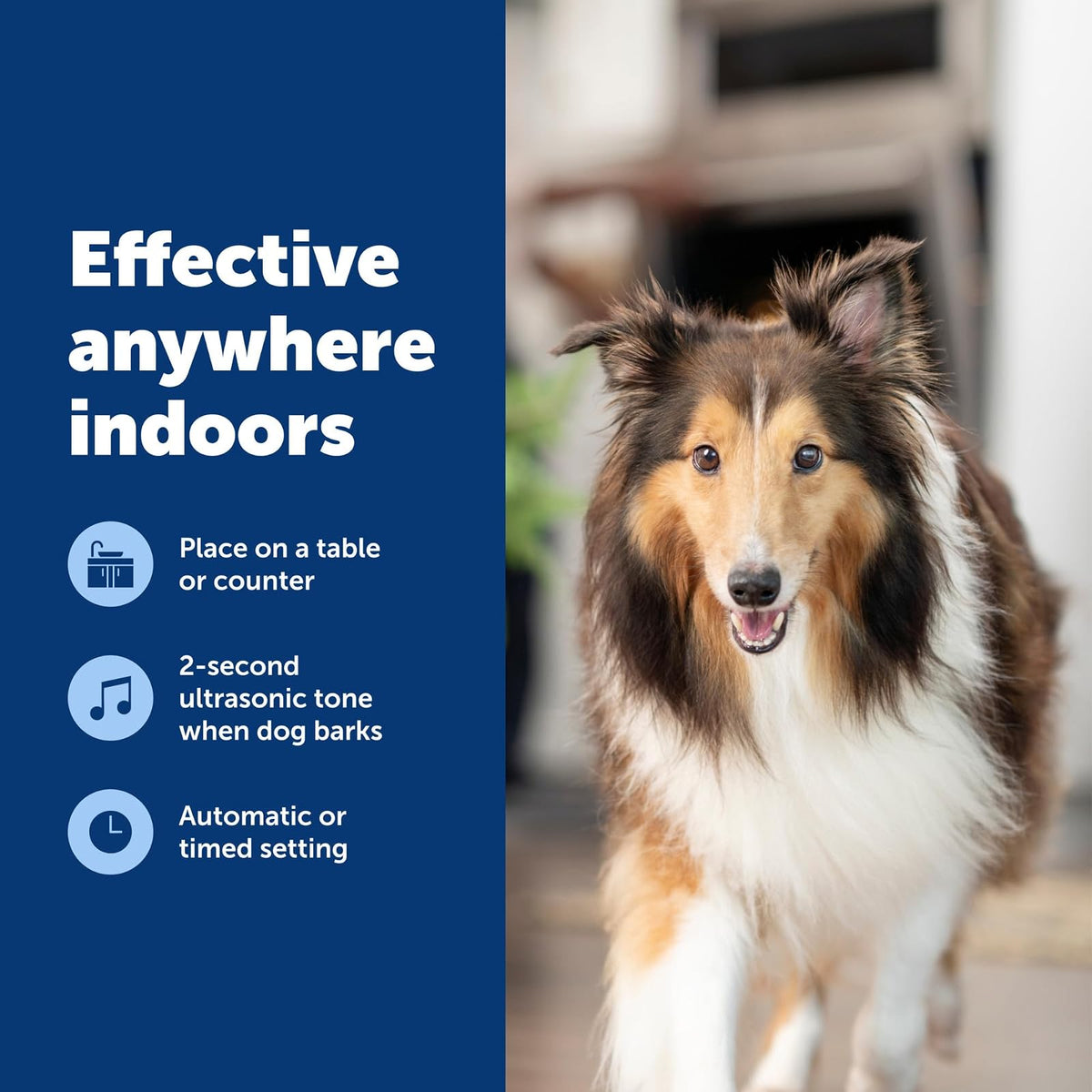 PetSafe Control de ladridos ultrasónico para Interiores, Alcance de hasta 7,6 m, sin Necesidad de Collar, antiladridos