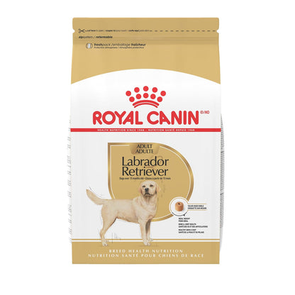 ROYAL CANIN Alimento Seco para Perro Adulto Raza Labrador Retriever, 7.7 kg