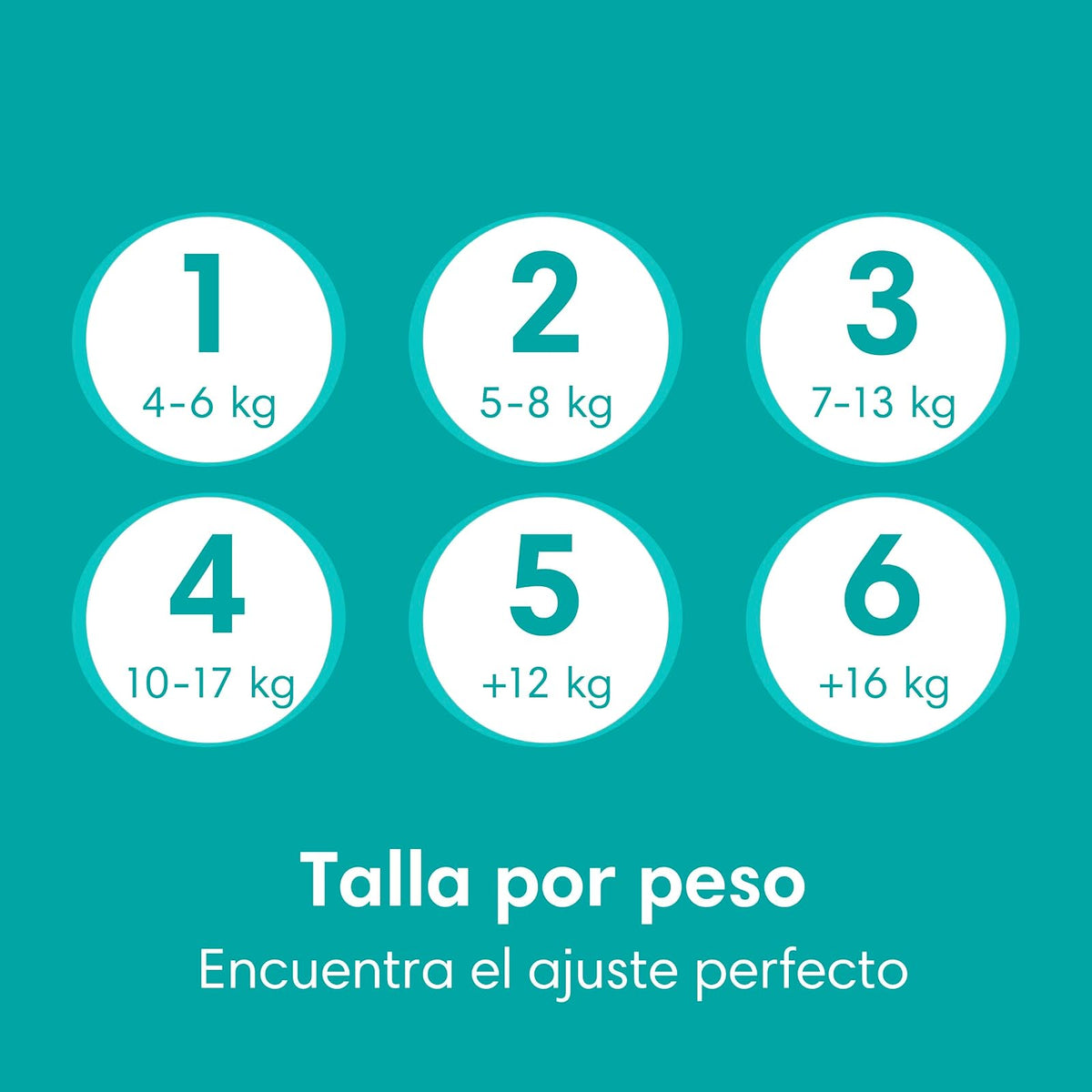 PAMPERS Baby Dry Pañales Desechables Unisex Etapa 5, 24 Uds, Bebé +12 Kg