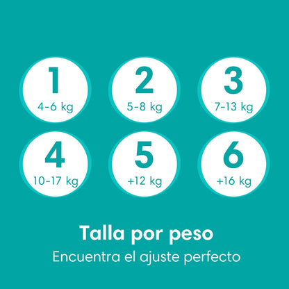 PAMPERS Baby Dry Pañales Desechables Unisex Etapa 5, 24 Uds, Bebé +12 Kg
