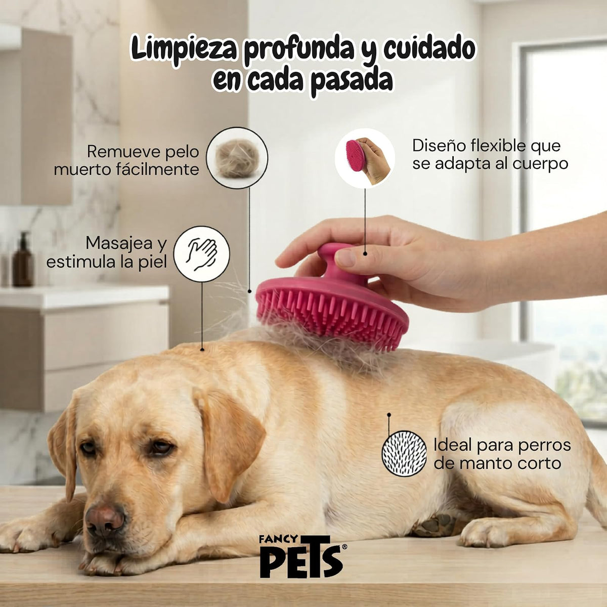 Fancy Pets Expert Grooming Goma Limpiadora de Pelo para Perro