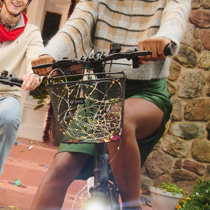 Jetson - Cesta Delantera para Bicicleta, Cesta de Hierro, Tornillo, Bolt Pro, LX10, Eje, J5, J8 y Haze Compatible